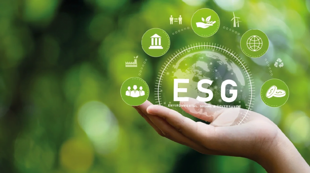 Sustentabilidade é palavra chave para o crescimento saudável. Imagem: Freepik