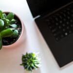 Cresol contratando com VA/VR de R$ 2.000 laptop, nature, plant, desk, notebook, tech, computer, table, office, work, programmer, business, coffee, website, technology, pen, creative, life, paper, placeholder, succulent, cactus, green, botanical, leaves, home