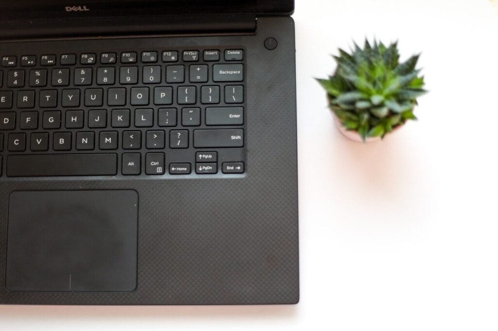 Home Office com VA/VR de R$ 1.200,00 plant, cactus, laptop, keyboard, desk, nature, working, work, house, interior, succulent, succulents, home, green, botany