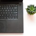 Home Office com VA/VR de R$ 1.200,00 plant, cactus, laptop, keyboard, desk, nature, working, work, house, interior, succulent, succulents, home, green, botany