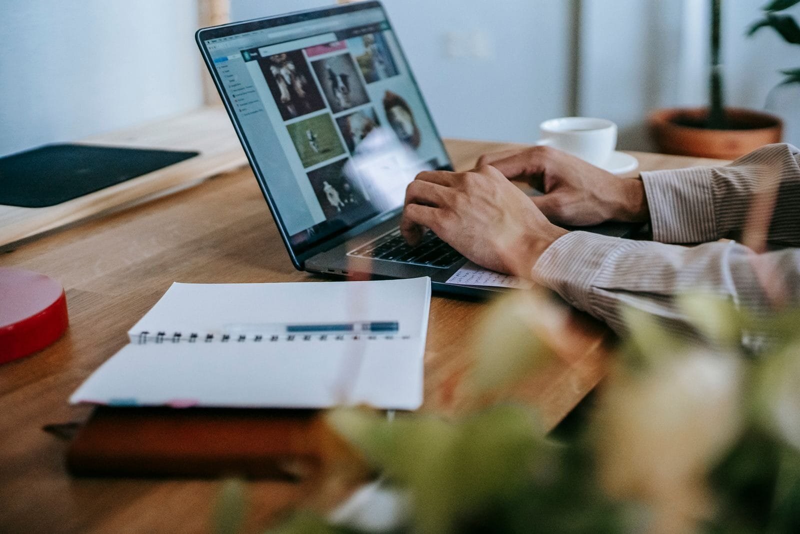 Customer Success com VA/VR de R$ 1.000 e + Remotas
